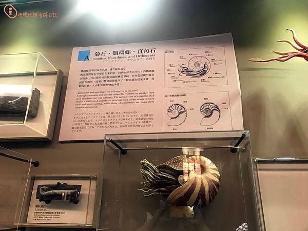台灣博物館3.jpg