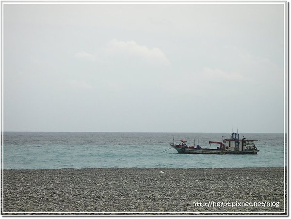 巧遇曼波魚2.jpg