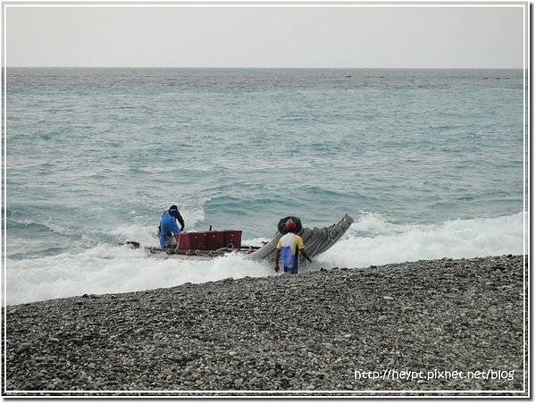 巧遇曼波魚10.jpg