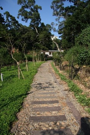 _MG_6188.jpg