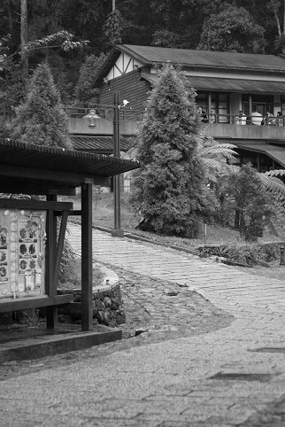 _MG_7790.jpg