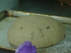 基醱完成麵糰.jpg