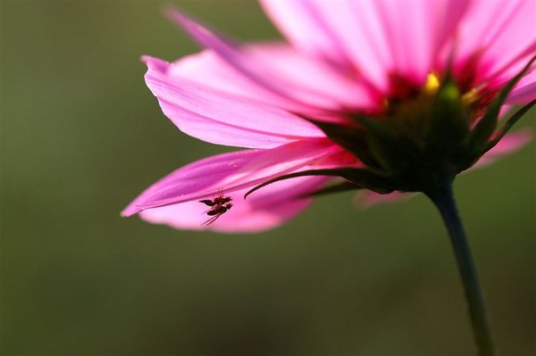 DSC_9579.JPG