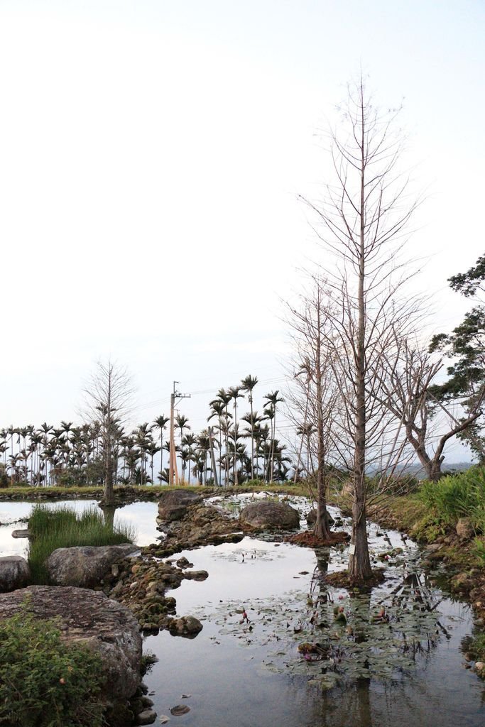 華山觀止虫二行館