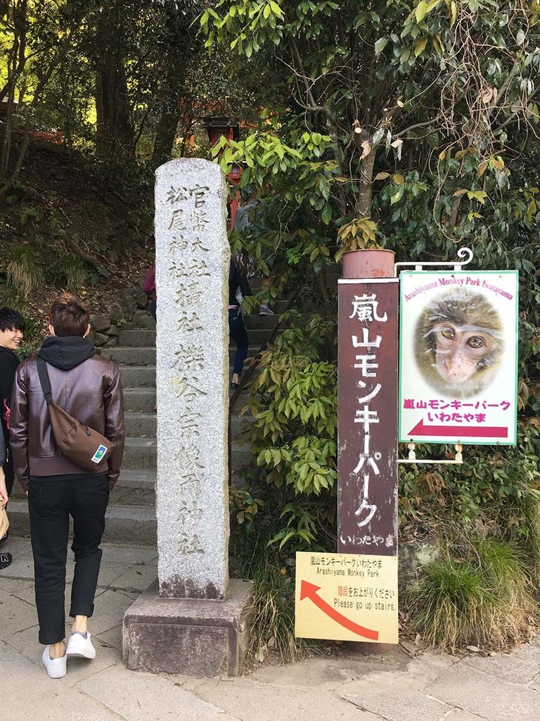 嵐山猴子公園