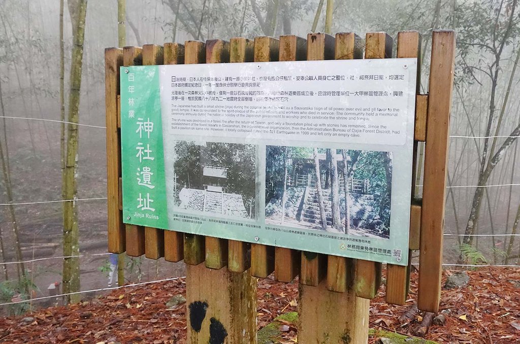 八仙山國家森林遊樂區