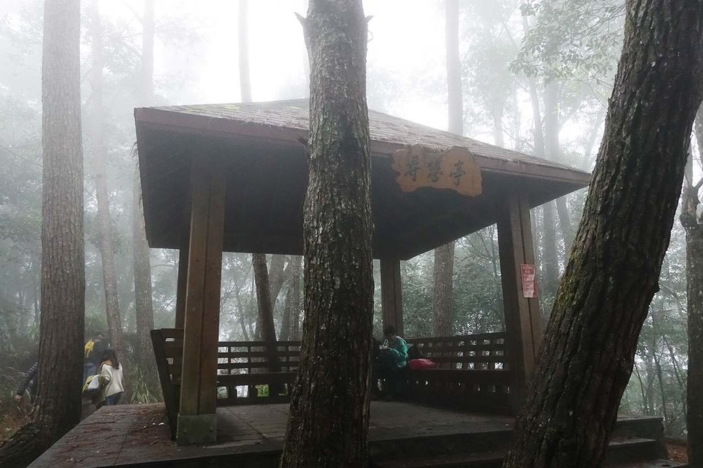 八仙山國家森林遊樂區