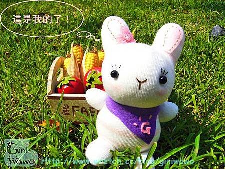 領巾小兔