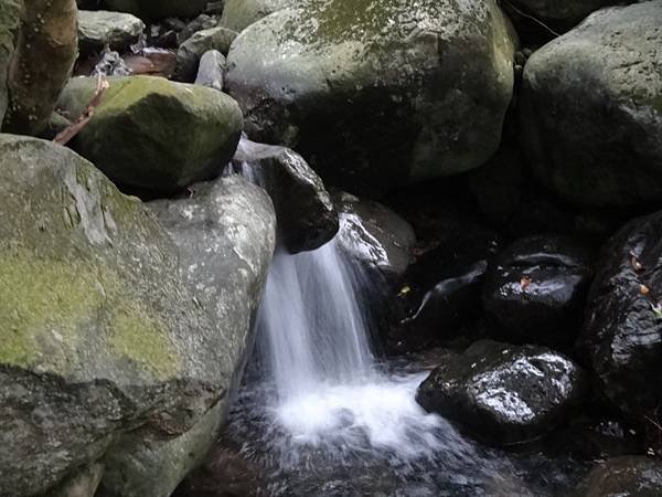 DSC07545.JPG