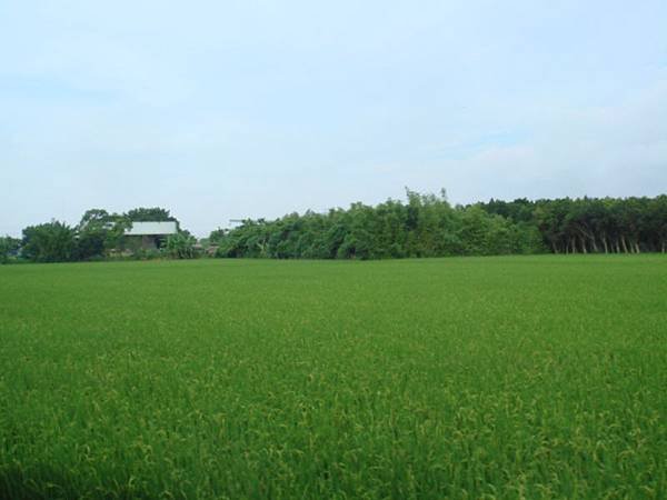 DSC09137.JPG