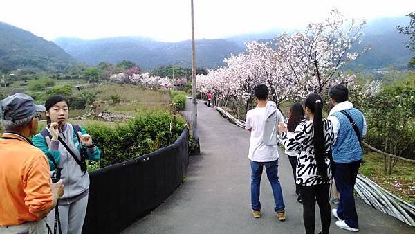 P_20150227_170700.jpg
