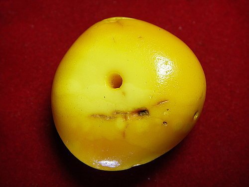 老蜜蠟單珠17.jpg