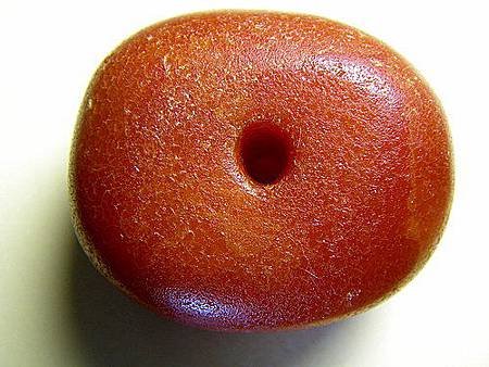 y1381804881_da663c31_13.jpg