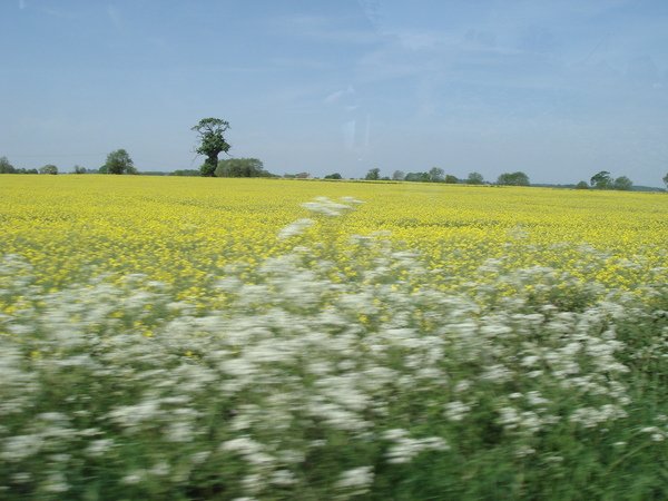 DSC01338.JPG