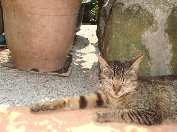 DSC07402.JPG