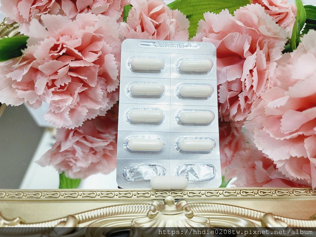 益生菌推薦大研舒敏益生菌膠囊 (38).jpg