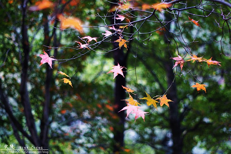 DSC04073.jpg
