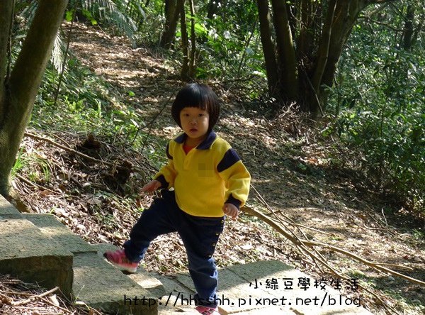 小綠豆學校生活-41.jpg