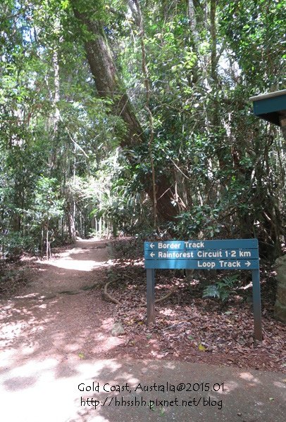 20150118-黃金海岸-Lamington National Park-32.jpg