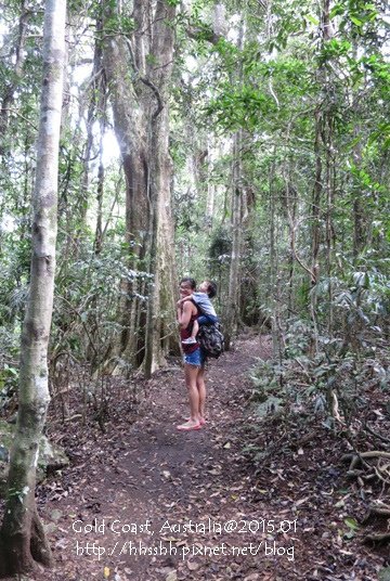 20150118-黃金海岸-Lamington National Park-36.jpg