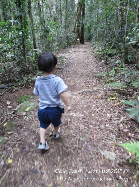 20150118-黃金海岸-Lamington National Park-42.jpg