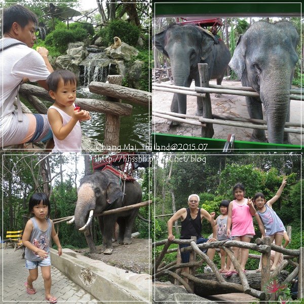 20150723-11-chiang mai zoo.jpg