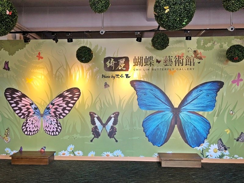 宜蘭綺麗觀光工廠-綺麗蝴蝶藝術館 (4).jpg