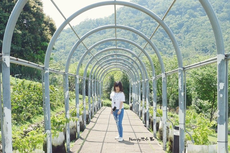 花海梵谷主題餐廳(原大溪花海農場) (8).jpg