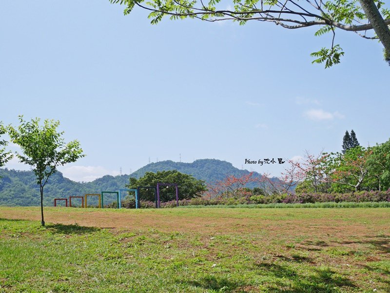 花海梵谷主題餐廳(原大溪花海農場) (27).jpg