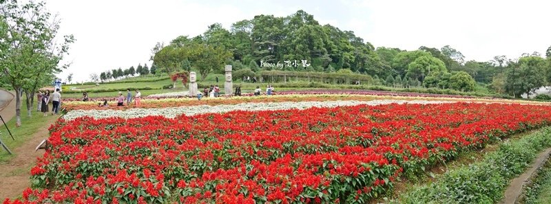 花海梵谷主題餐廳(原大溪花海農場) (93).jpg