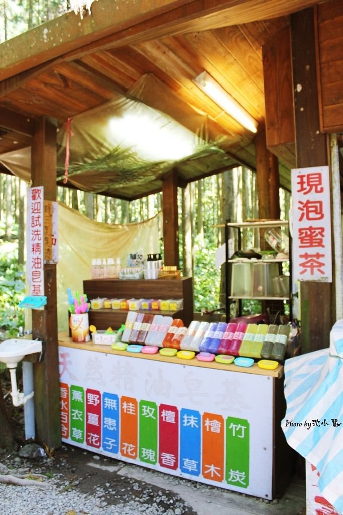馬武督探索森林 (26).jpg