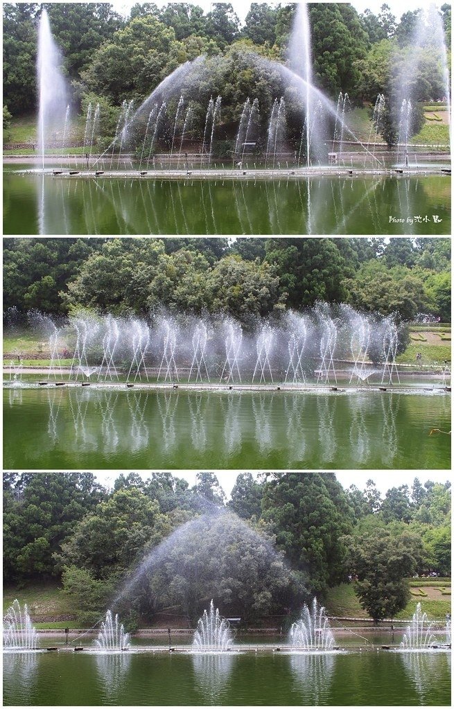 清境農場(統一清境小瑞士花園) (16).jpg