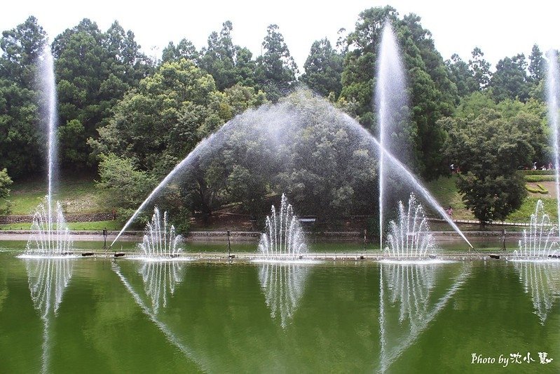 清境農場(統一清境小瑞士花園) (17).jpg