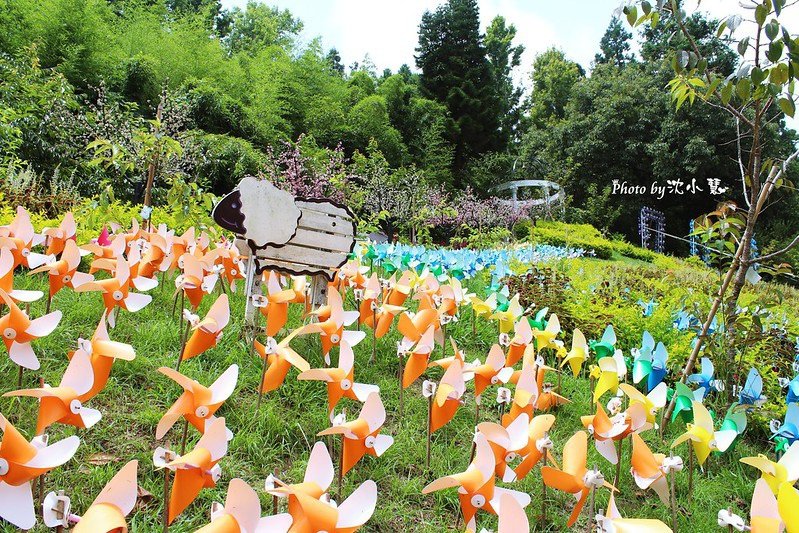 清境農場(統一清境小瑞士花園) (33).jpg