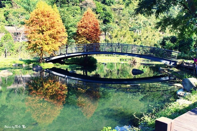 內灣親水公園 (23).jpg