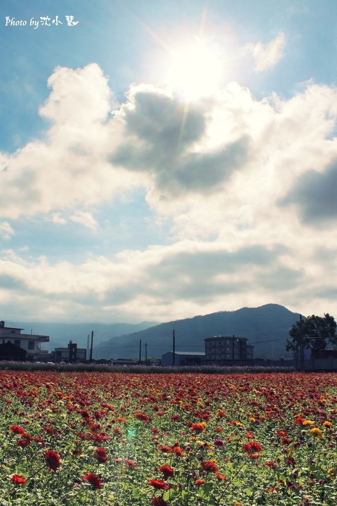 秀湖花海 (21).jpg