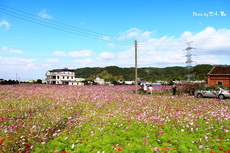 秀湖花海 (29).jpg