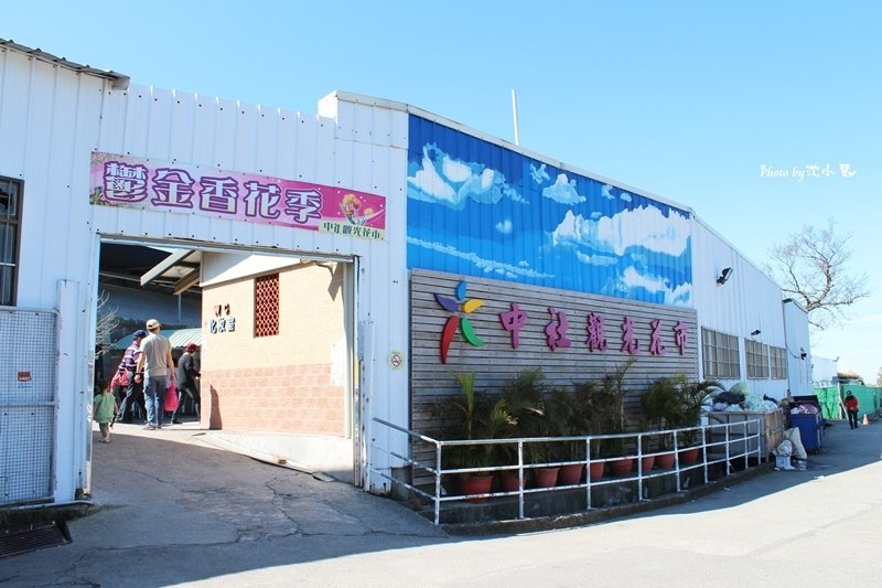 中社觀光花市 (2).jpg