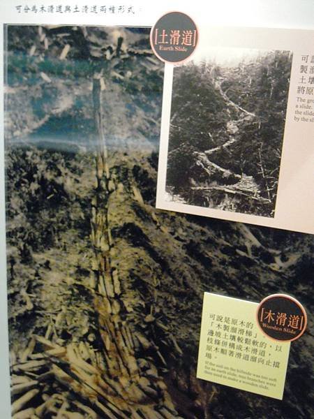 照片 117.jpg