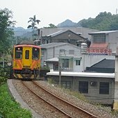 照片 219.jpg
