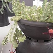 DSCN3905.jpg