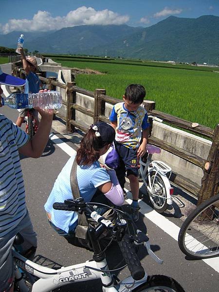 照片 394.jpg