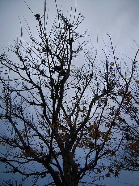 DSCN4441.JPG