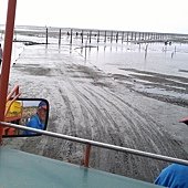 IMAG0272.jpg