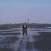 IMAG0275.jpg