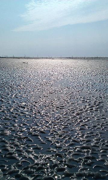 IMAG0285.jpg
