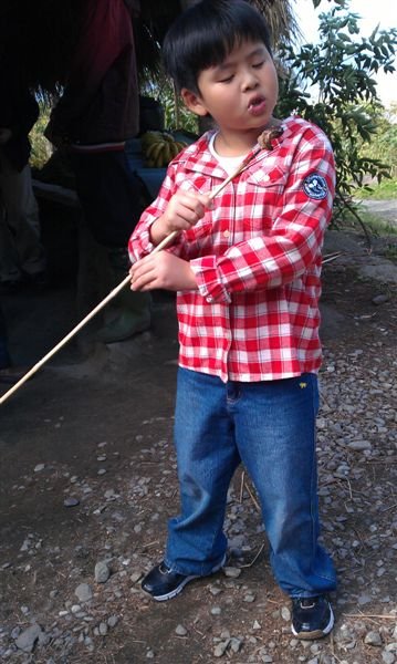 IMAG0113.jpg