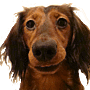 DSC05315.png