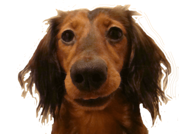 DSC05315.png