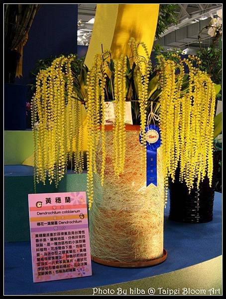 蘭藝爭輝。第一獎黃穗蘭